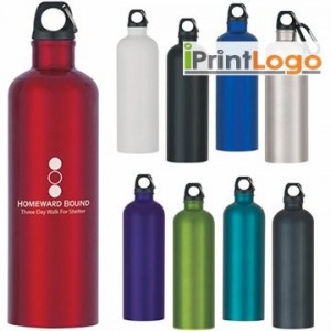 STAINLESS STEEL BOTTLE-IGT-2E9085